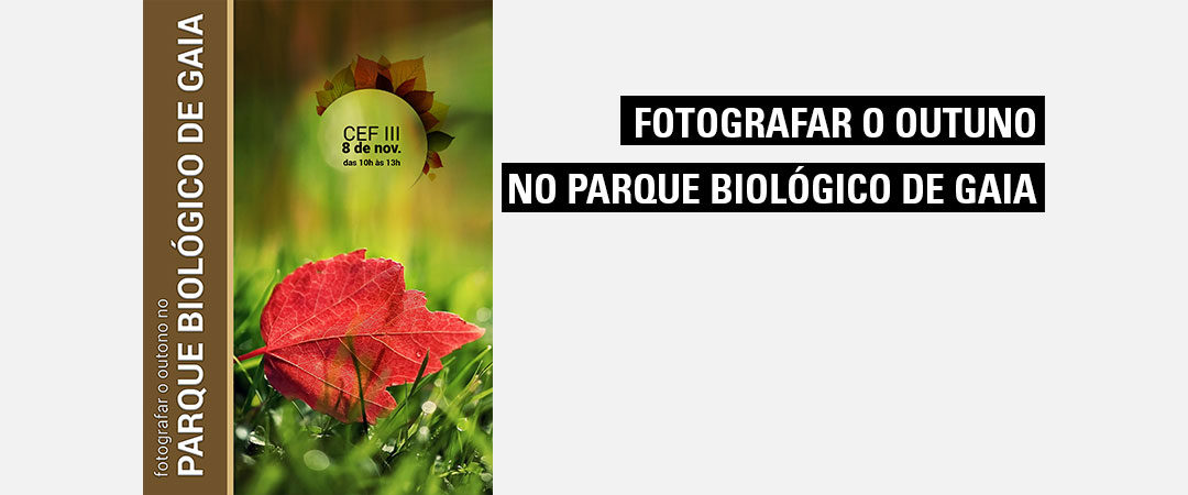 Fotografar o outono no Parque Biológico de Gaia