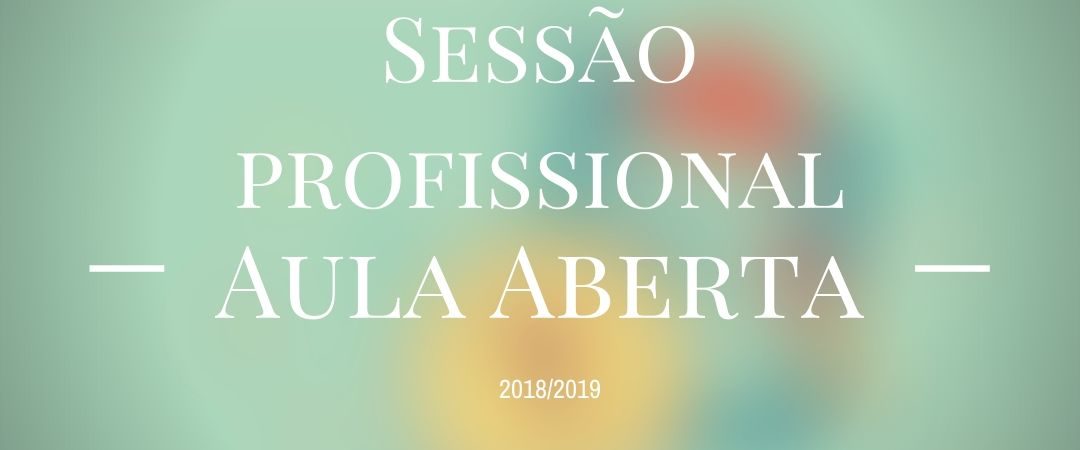 Sessão com Profissional de Animação