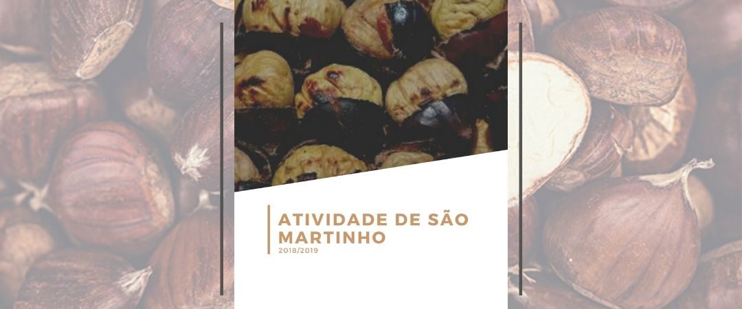 Atividade de São Martinho