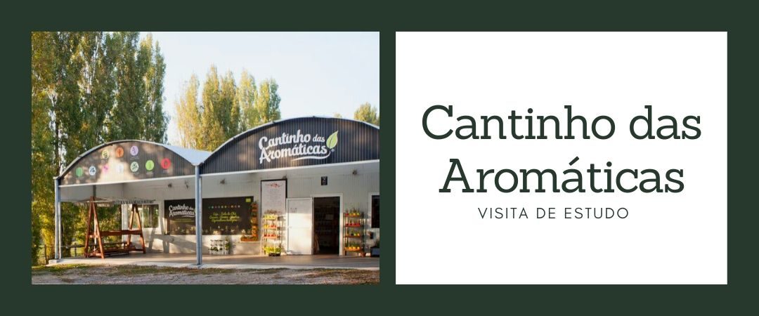 Visita ao Cantinho das Aromáticas
