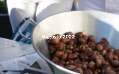 Magusto 2022