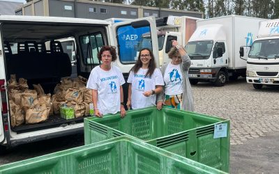 Campanha de Voluntariado — Banco Alimentar 2025